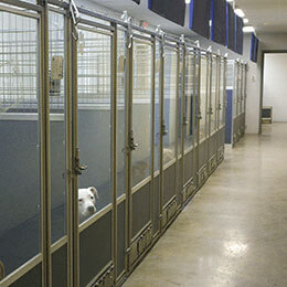 Almost-Home-Animal-Shelter_Interior Almost-Home-Animal-Shelter_Interior