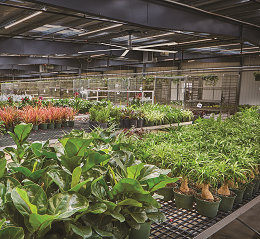 Krueger Wholesale Florist Warehouse - Overhead HVLS Fan