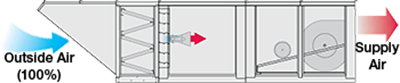100-Elevation-Model