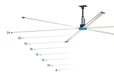 DS_Size-Based-Selection