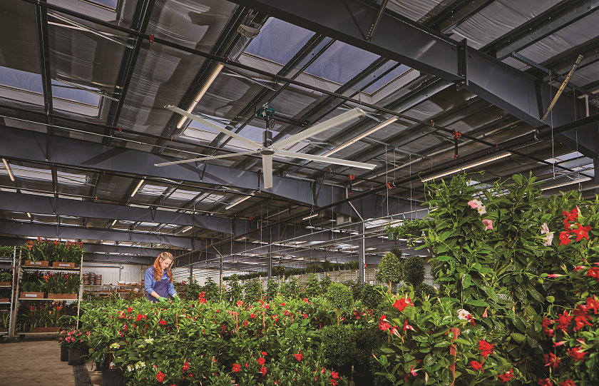 91����͵�� Project Profile - Krueger Wholesale Florist Inc.