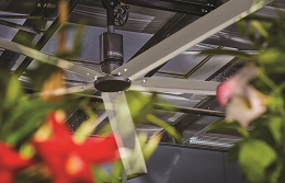 91����͵�� Project Profile - Krueger Wholesale Florist Inc. - AMPLIFY™ Overhead Fan