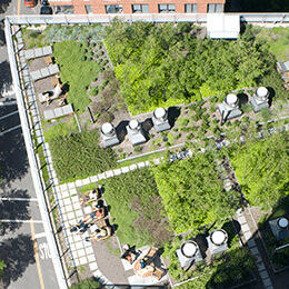 The Solaire Battery Park, NY - Rooftop